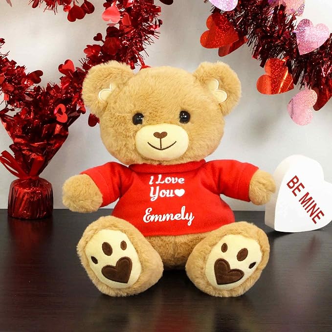 Express Love with DIBSIES Personalized Valentine's Day Teddy Bear – A Heartwarming Gift Guide - Eravol