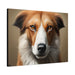 Endearing features that make each dog unique - Dog Face - Gallery Wraps Artwork - FORHERA DESIGN - Canvas