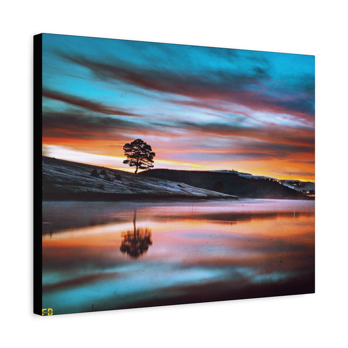 FD - Mountain tree Gallery Wraps - FORHERA DESIGN - Canvas