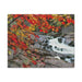 FD - Spring Water fall Gallery Wraps Home Unique Decor Forhera - Design - FORHERA DESIGN - Canvas